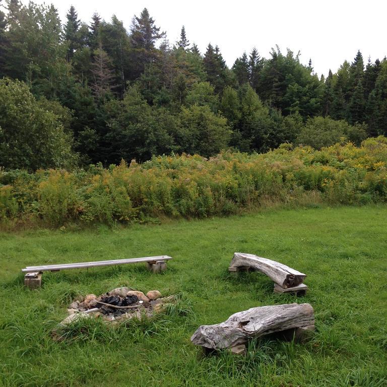 Breton Cove Farmhouse Pensionat Indian Brook Exteriör bild