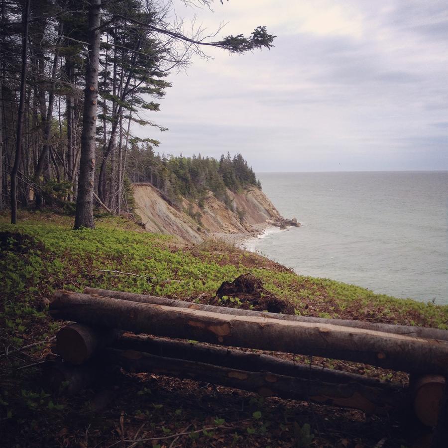 Breton Cove Farmhouse Pensionat Indian Brook Exteriör bild